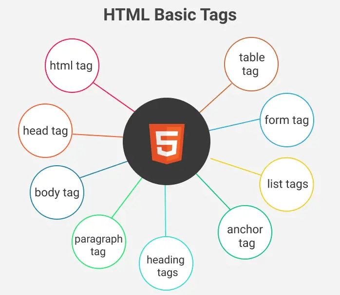 Understanding Basic HTML Tags: Building Blocks of Web Development