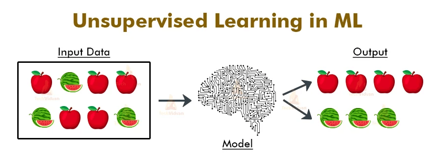 Unleashing the Potential of Unsupervised Learning: An Introduction to Unsupervised Learning Algorithms